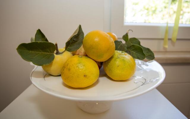 Apartments Milan Rovinj