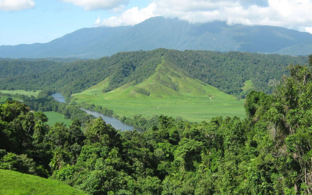 Daintree Riverview