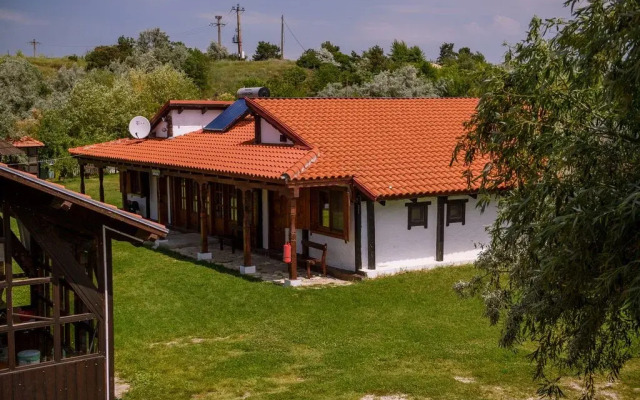 CASA DOBROGEANA Corbu cm