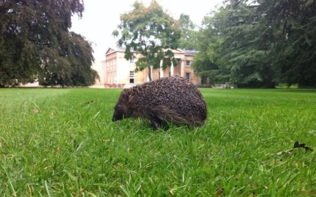 Downing College Cambridge