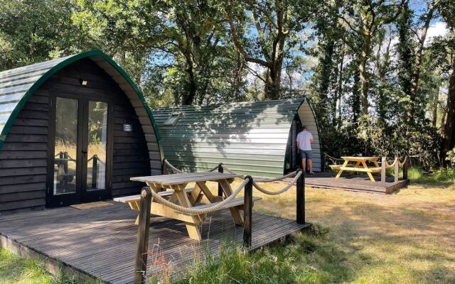 Nightjar Cabin at Cloudshill Glade