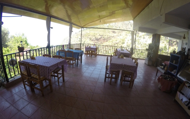 Faralya Gül  Pansiyon