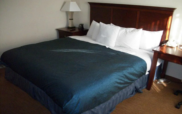 Homewood Suites By Hilton Memphis Poplar