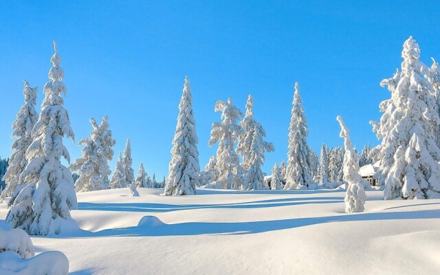 10 Person Holiday Home in BOE Telemark