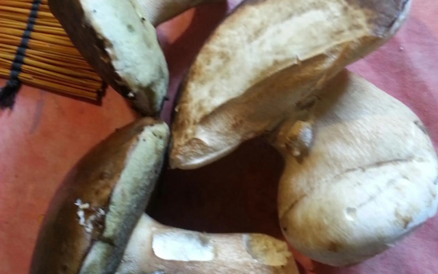 Bergerie de Lagarrigue