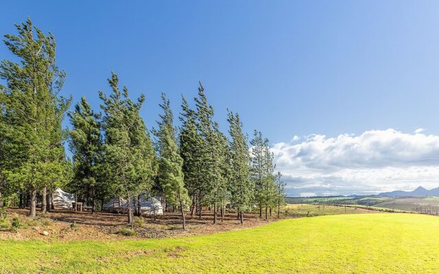 Cherry Glamping