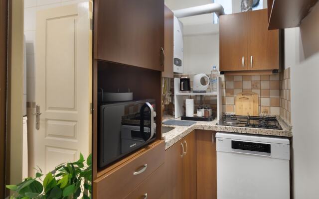 Gorgeous Central 1BR Apt near Galataport