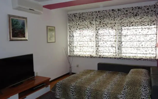 Apartment Yvonne