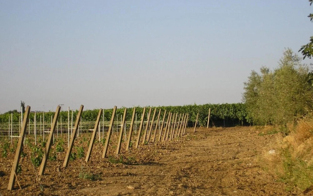 Agriturismo Sovanella