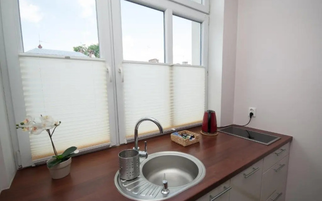 Dream Team Zamoyskiego