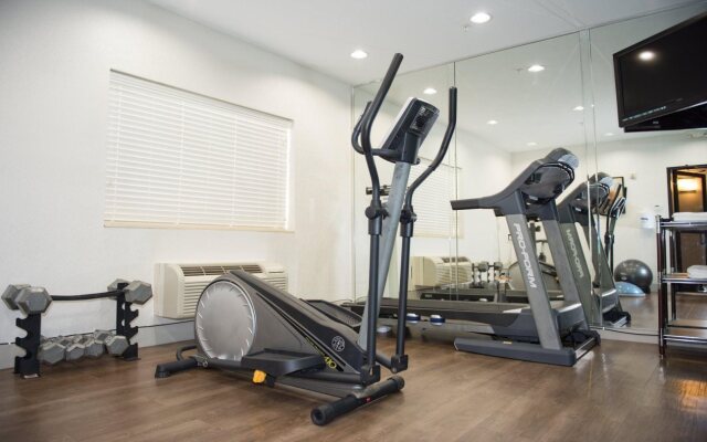 Holiday Inn Express Houston North-1960 Champions Area