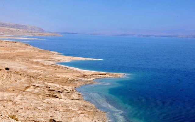 Korin's At the Dead Sea