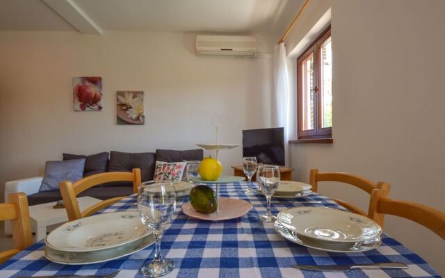Apartment Mara Novigrad (Zadar) 16490