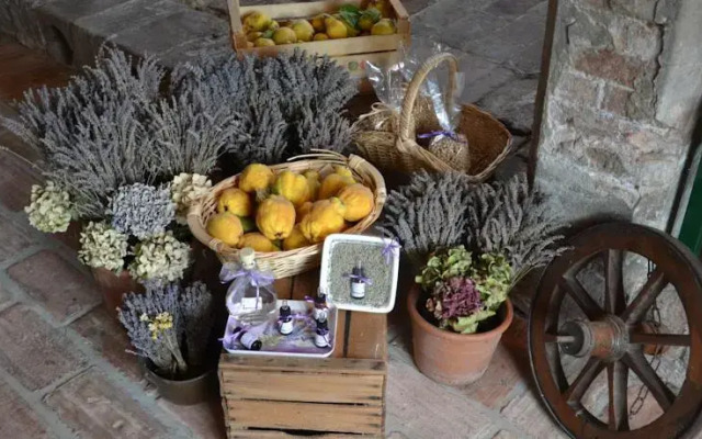 B&B I Cipressi