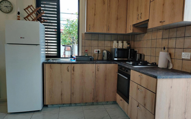 Palm garden paradise