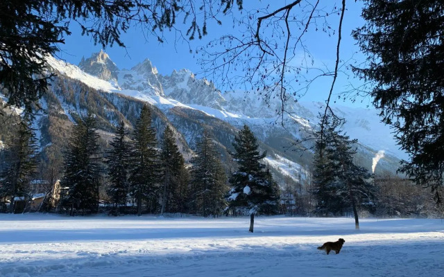 Apartment Maya, La Praz, Chamonix Mont Blanc