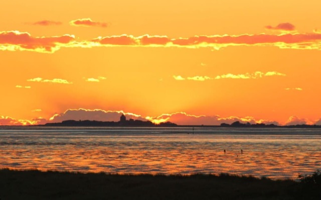 Nice Apartment Near Beach