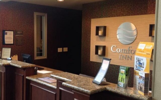 Comfort Inn Downtown