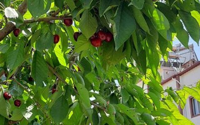 Salda Apart Pansiyon