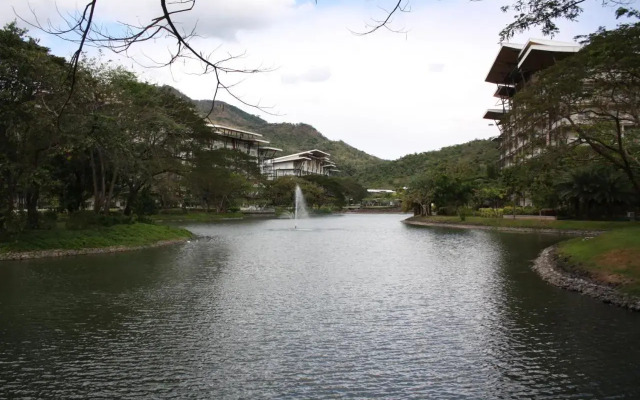 Unit 507 Pico De Loro