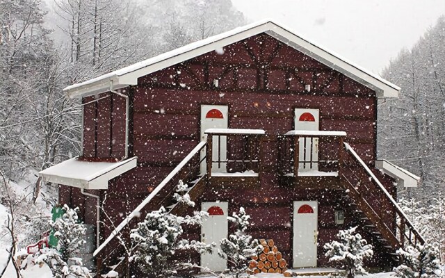 Hongcheon Heidi Pension