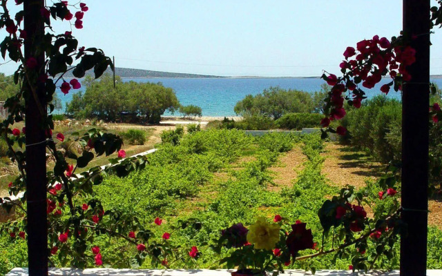 Michalis Apartments near the beaches with sea view