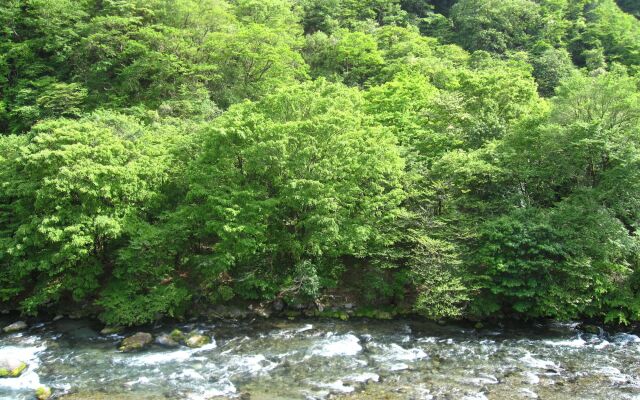 Koduchi no Yado Tsurukamedaikichi