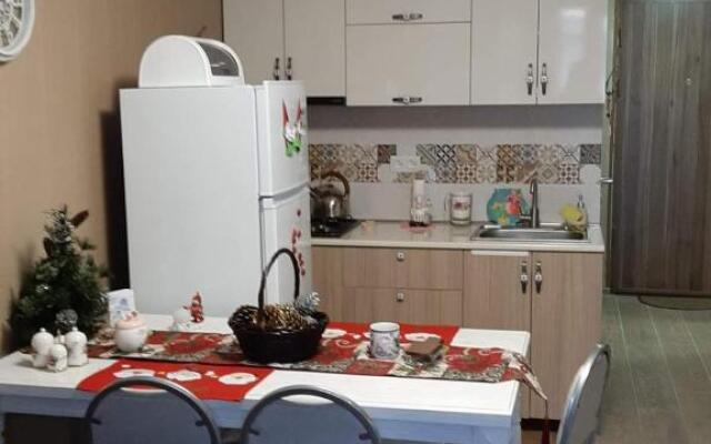 Bakuriani Park Residence 1