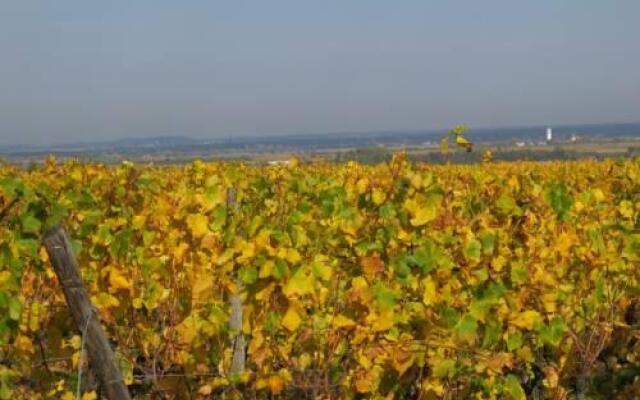 Hotel Restaurant Faller Emmebuckel