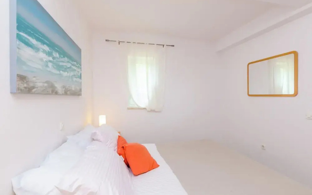 Color Apartments