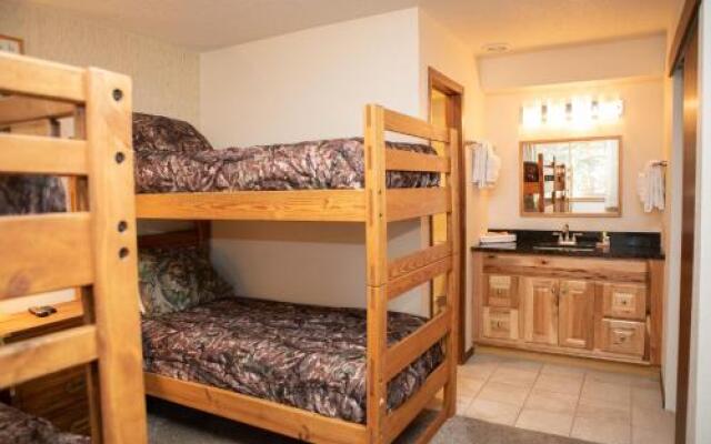 SDC203 Snowdance by RedAwning