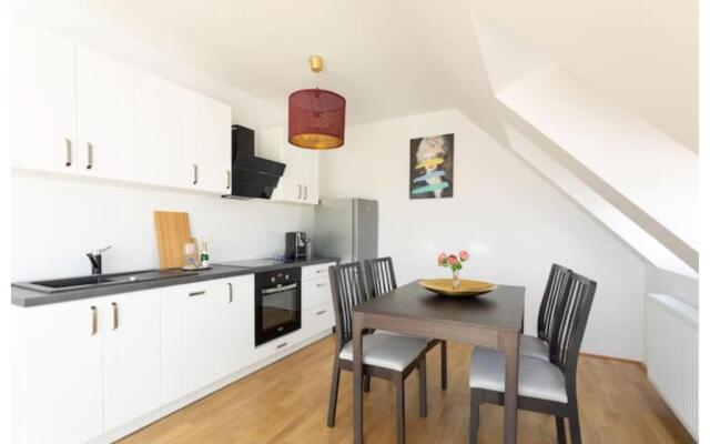 N45 · Penthouse near Schoenbrunn. Amazing Terrasse! N45