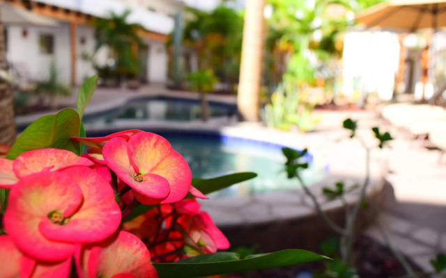 Santa Fe Luxury Residences