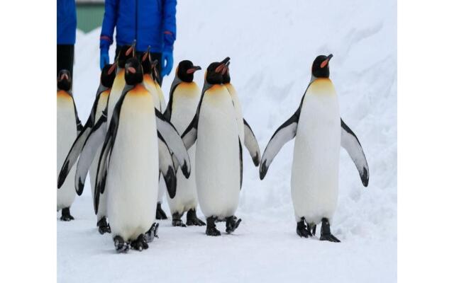 Y's Hotel Asahikawa Ekimae - Vacation STAY 65445v