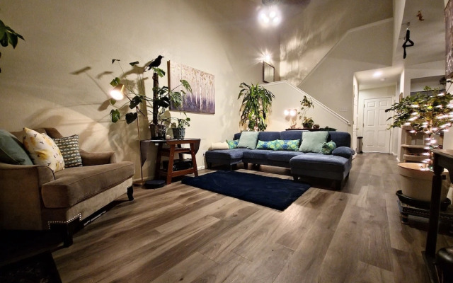 Casa de gato