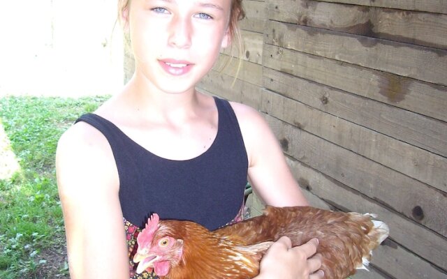 La Valle Dei Castagni