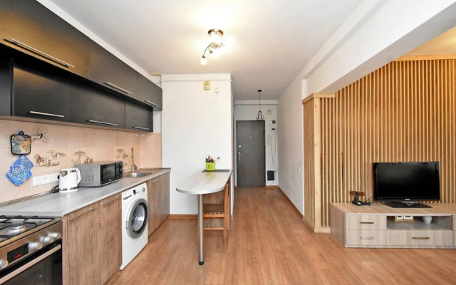 Sunny apartment on Pushkin street