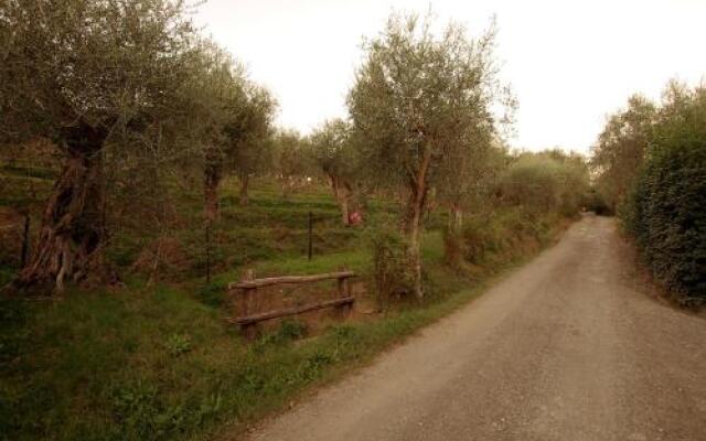 Fattoria Campo Romano