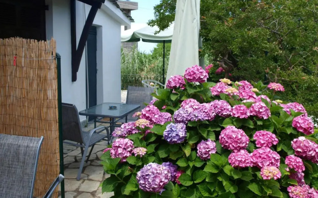 Villa Zina Studio 3 Pelion