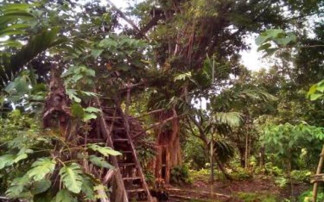 Tanna Volcano View Treehouse