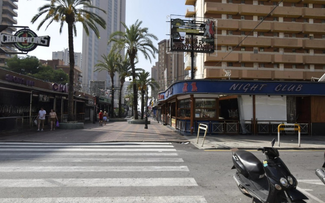 Comercial Lepanto - Fincas Arena