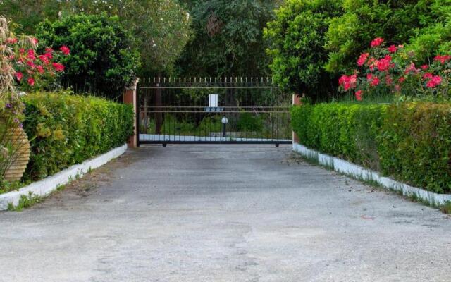 Rose Garden 2