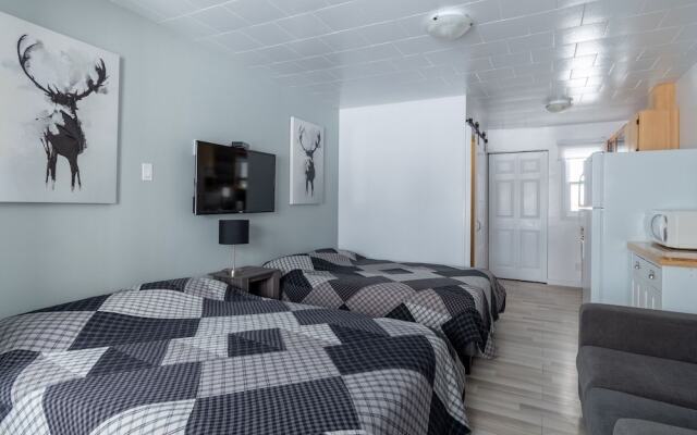 Les studios de la mer