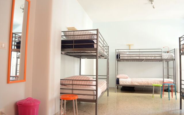 Olive Tree - Hostel