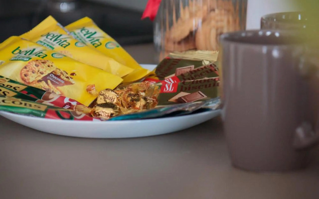 Presecan One Room Apartment with view