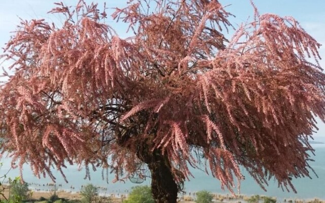 B&B Torre del Lago Trasimeno