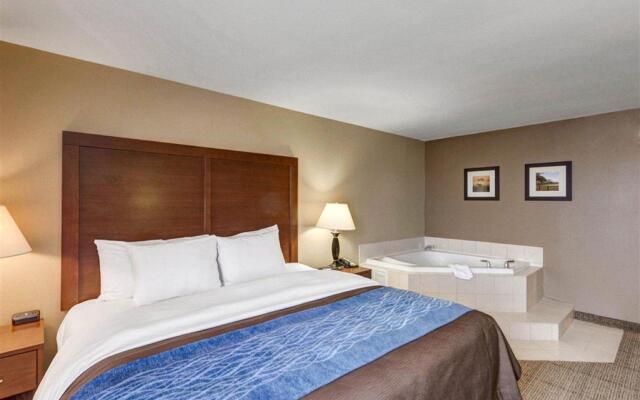 Comfort Inn and Suites Plano East