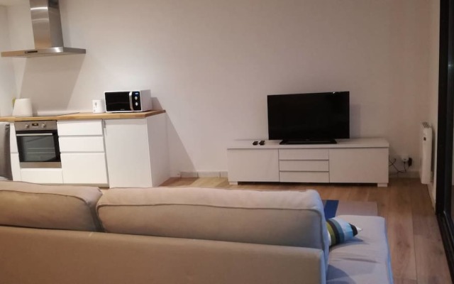 Appartement Plein Centre Denys Puech