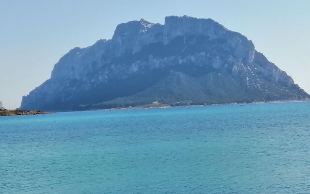 Aria di Vacanza- Molara