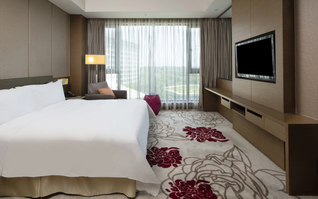 Holiday Inn Nanyang – Guest Rooms – Nanyang
